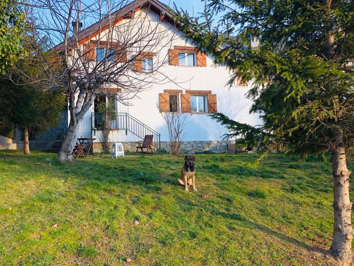 Casa Con Jardin, 4 Habitaciones Y Mucho Encanto En سيرسيديلا المظهر الخارجي الصورة